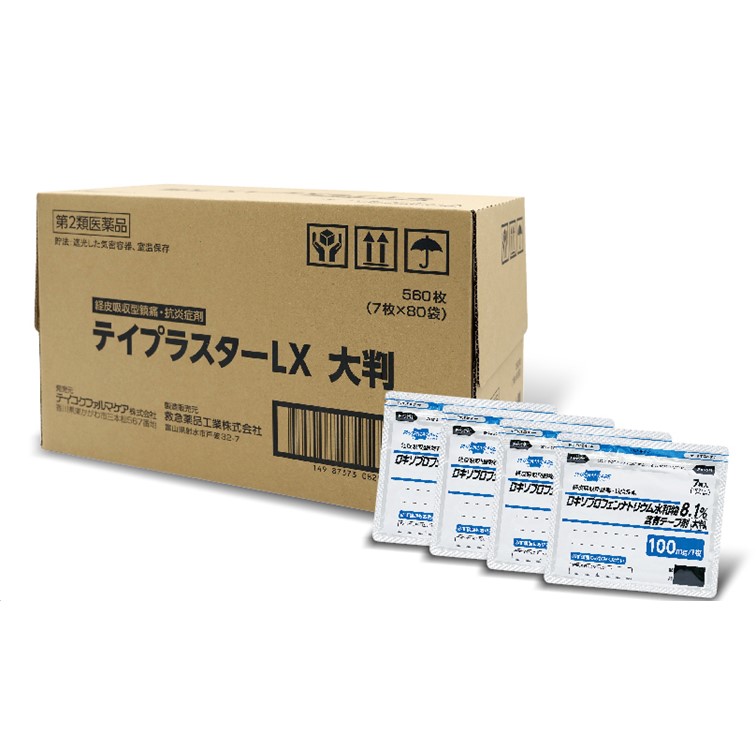 ◆ﾃｲﾌﾟﾗｽﾀｰLX(大判)