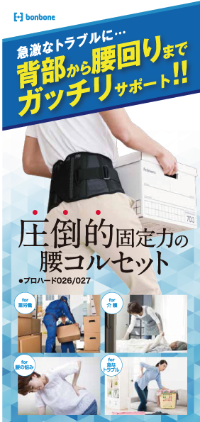 プロハードリーフレット