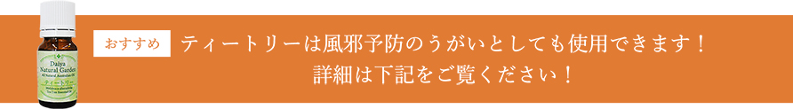 ティートリーは風邪予防のうがいとしても使用できます！　詳細は下記をご覧ください！
