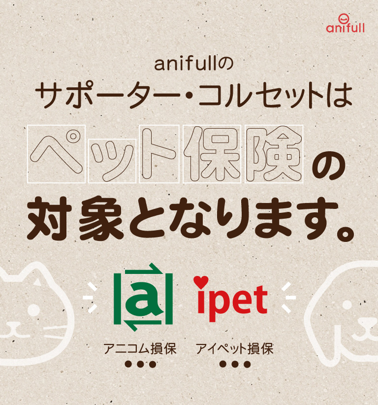 犬用コルセットが腰をサポート！