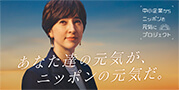 nippon-smes-project