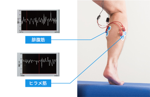 筋電計