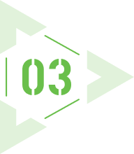 03