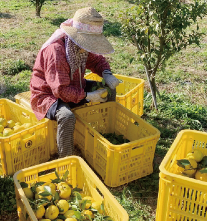 重い荷物を持ち上げる時、腰に負担がかかる