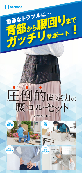 プロハードリーフレット